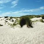 Goudstrand *